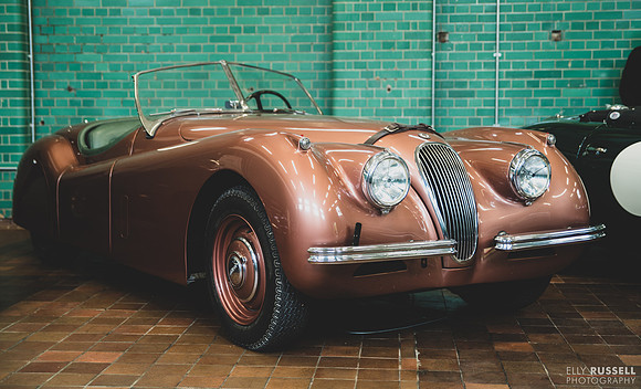 Elly Russell Photography-1272