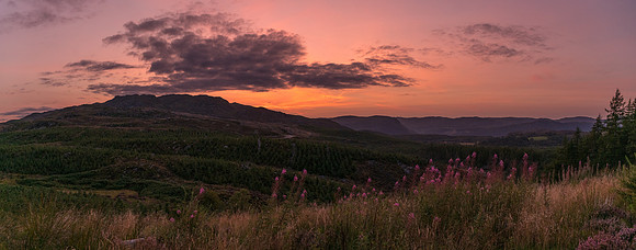 ERP_1949-Pano