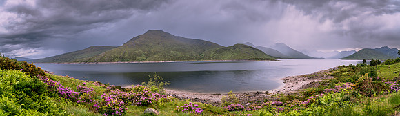 ERP_4747-Pano