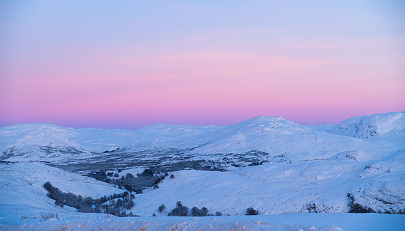 Elly Russell Photography-4187